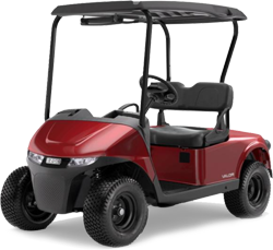 2-Passenger golf carts for sale in Southeastern United States