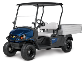 Utility golf carts for sale in Southeastern United States